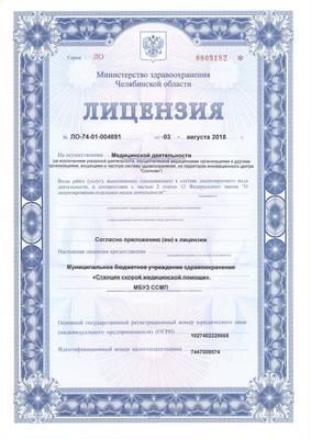 Лицензия первая сторонаа